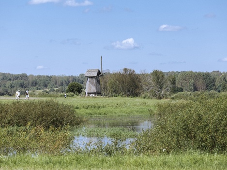 СПБ: Нетленная классика на «Ласточке» (3 дня)