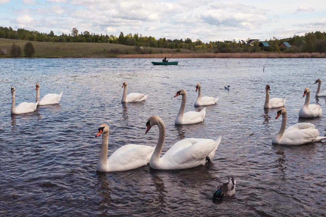 Встречаем весну активно: чем удивляет Псков в начале сезона