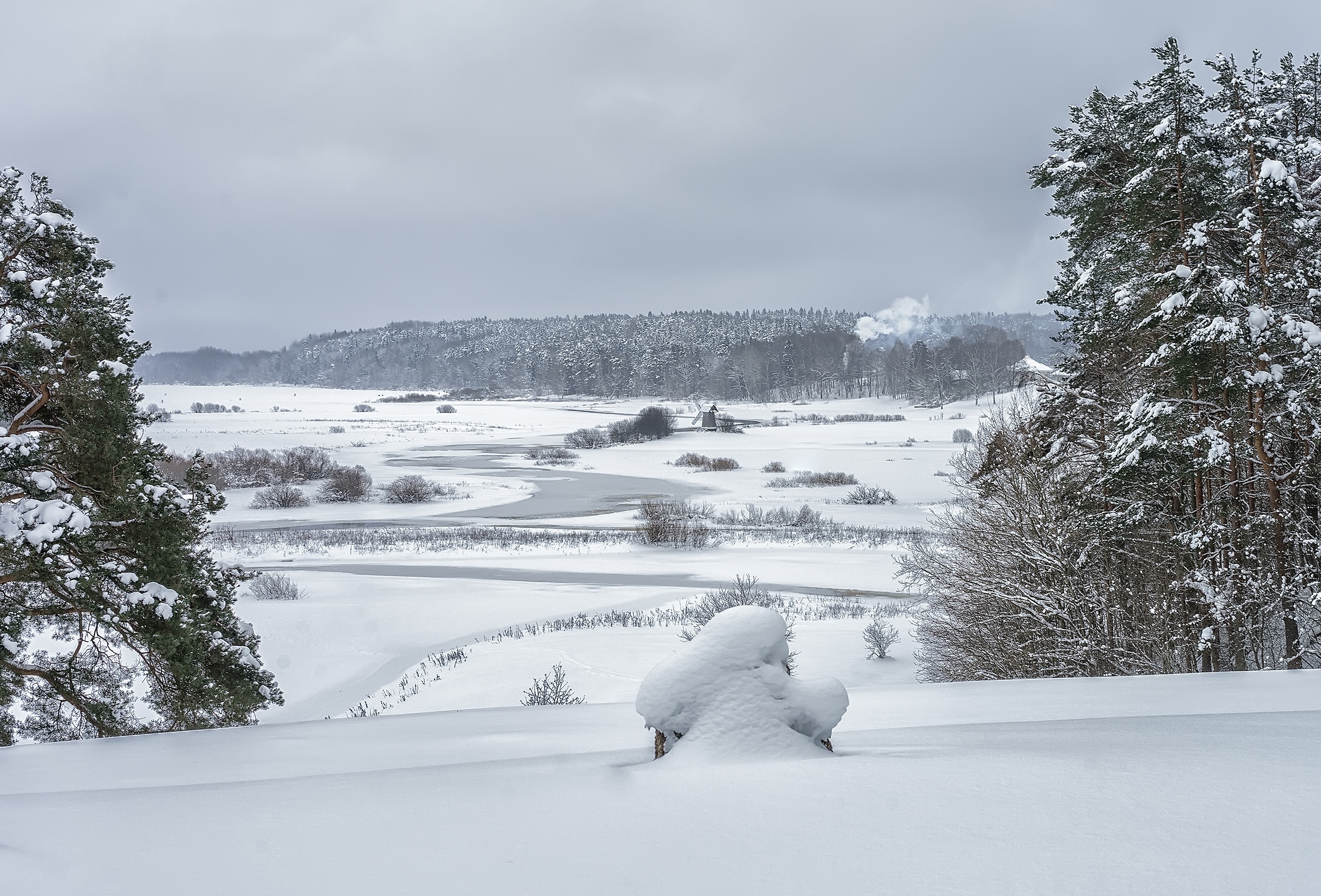 Экскурсия в Пушкинские Горы (Михайловское и Святогорский монастырь), автобусно-пешеходная