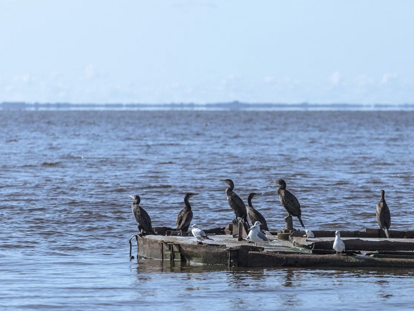 МСК: Путёвые заметки (4 дня) весна/лето