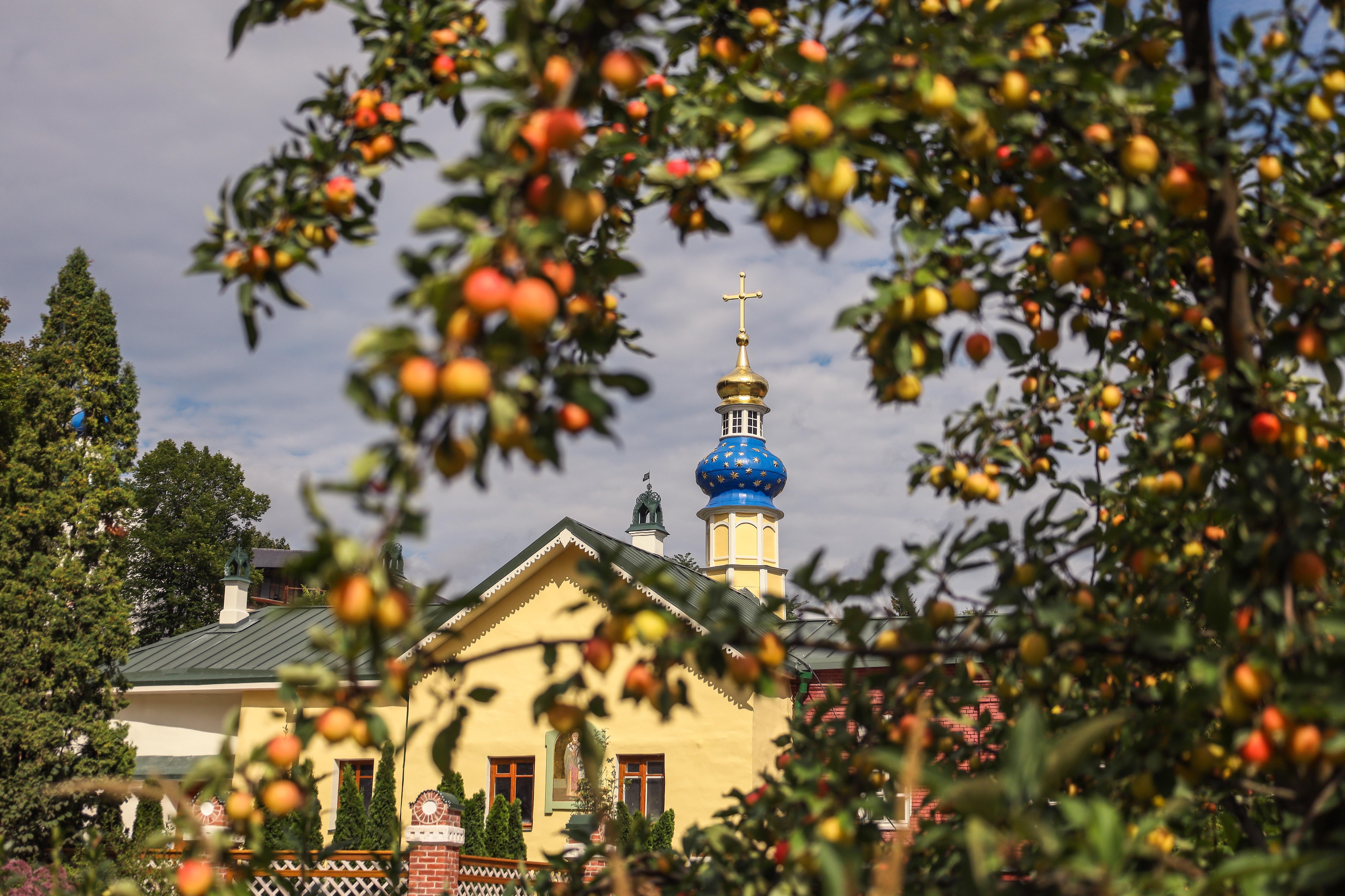 Красоты Псковской области: почему нужно увидеть Изборск и Печоры