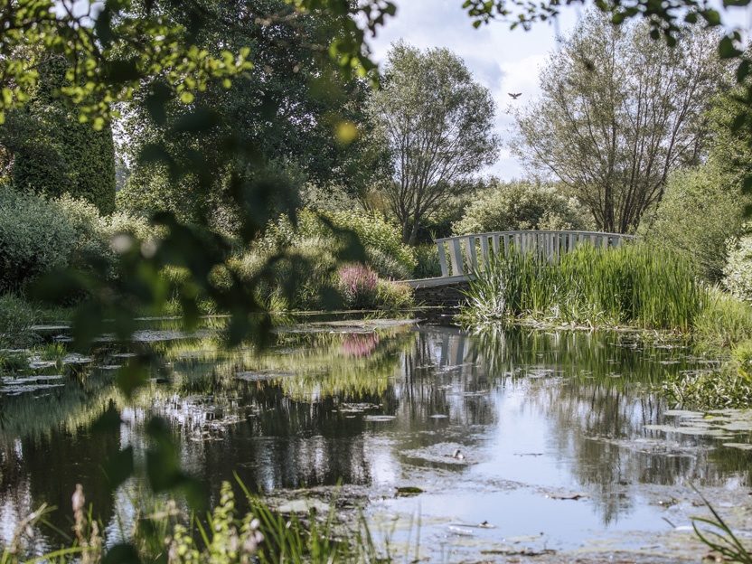 СПБ: Заповедник на «Ласточке» (7 дней) весна/лето