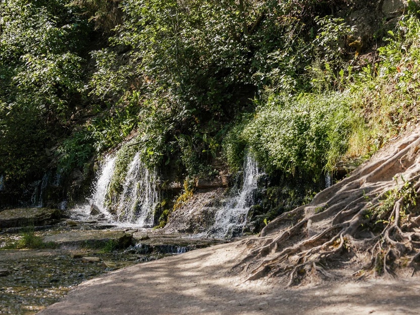 МСК: Заповедник (7 дней) весна/лето